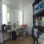 diybio